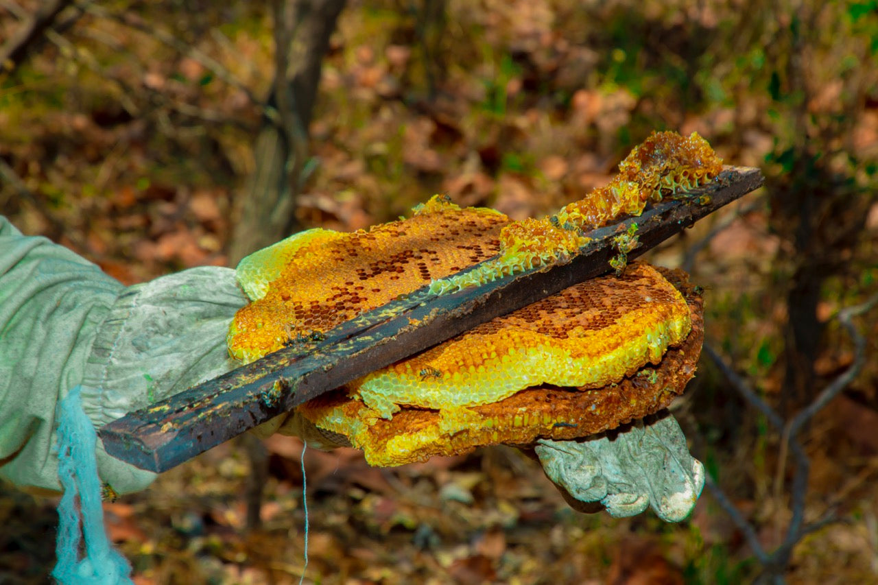 Wat is rauwe honing?